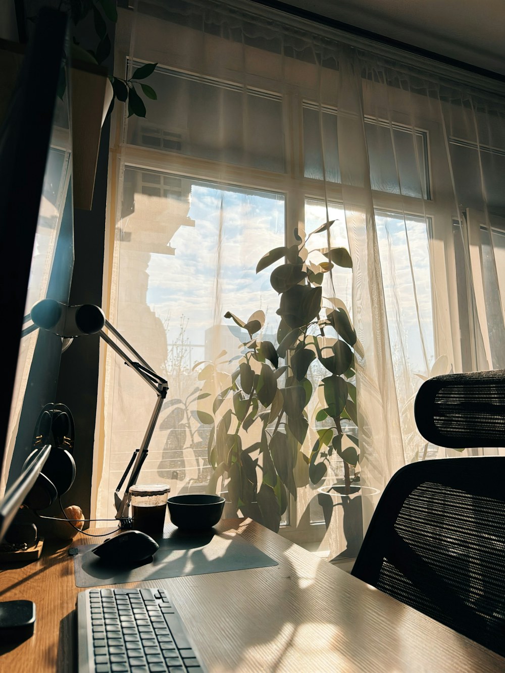 Calm organized desk near a window with plants